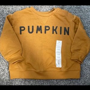 NWT Lauren Conrad Little Co. Pumpkin Sweatshirt Pullover 12 Months